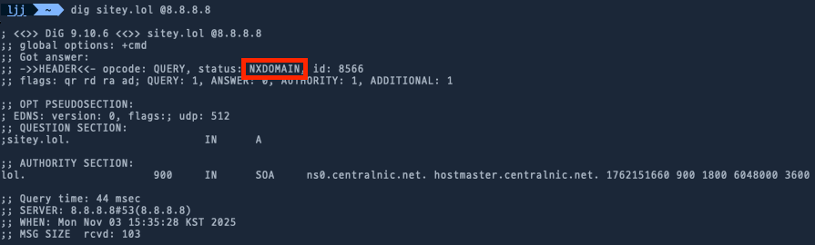 NXDOMAIN.png